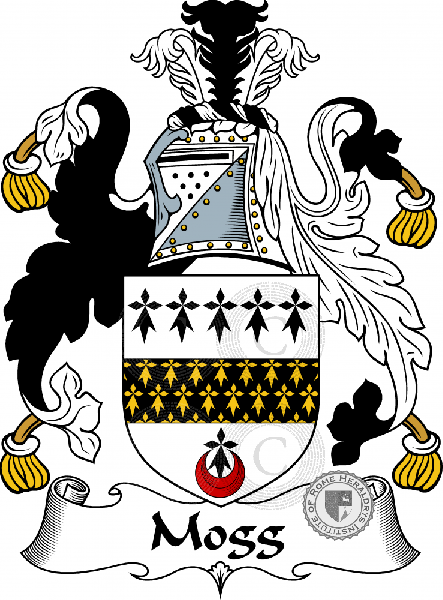 Coat of arms of family Mogg