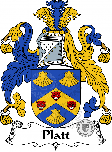 Coat of arms of family Platt