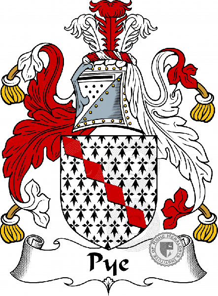 Coat of arms of family Pye