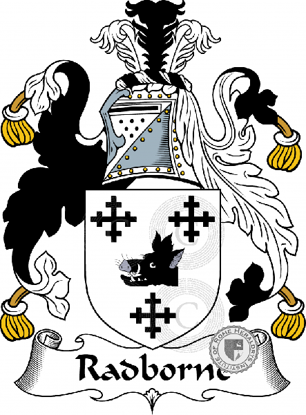 Coat of arms of family Radborn