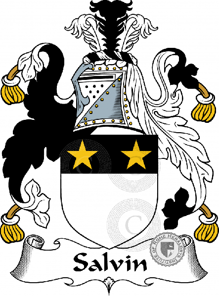 Coat of arms of family Salvin