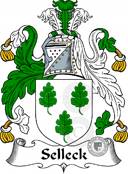 Coat of arms of family Selioke