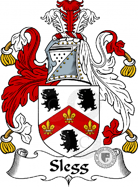 Coat of arms of family Slegge