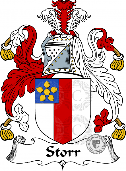 Coat of arms of family Storr
