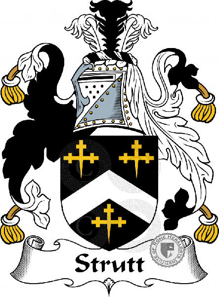 Coat of arms of family Strutt