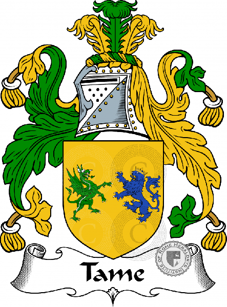 Coat of arms of family Tame