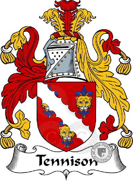 Coat of arms of family Tennison