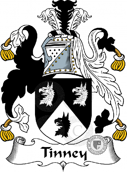 Coat of arms of family Tinney