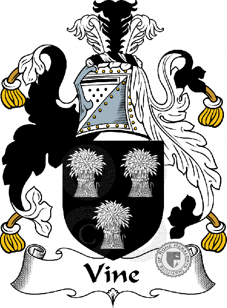 Coat of arms of family Vine