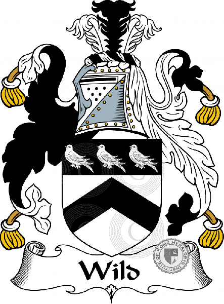 Coat of arms of family Wild