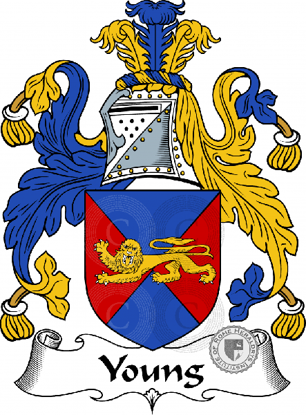 Coat of arms of family Young II