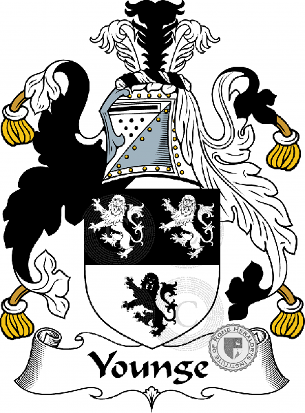 Coat of arms of family Younge