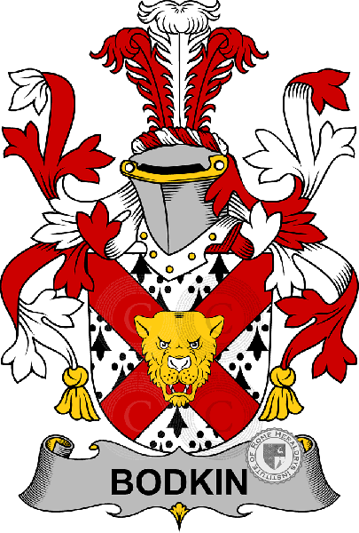 Wappen der Familie Bodkin