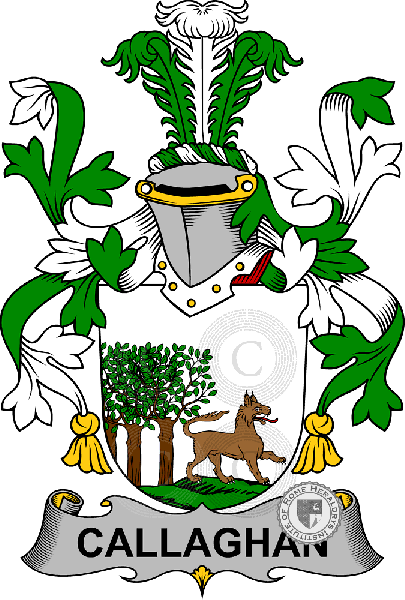 Coat of arms of family Callaghan