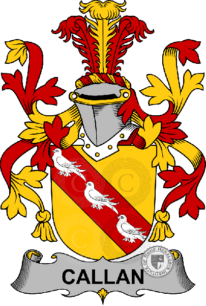 Coat of arms of family Callan
