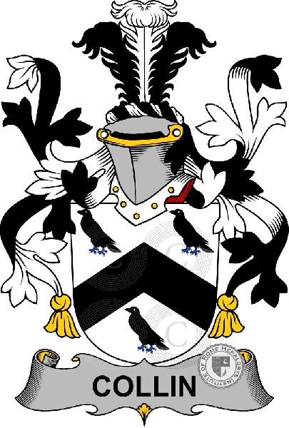 Coat of arms of family Collin