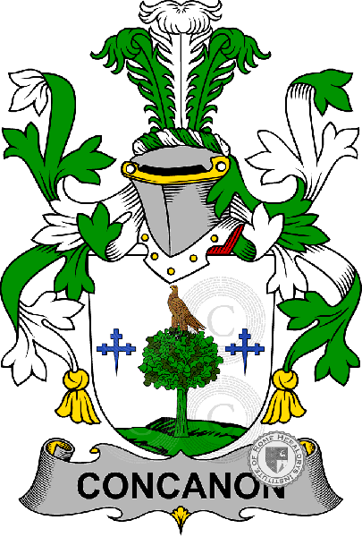 Coat of arms of family Concanon