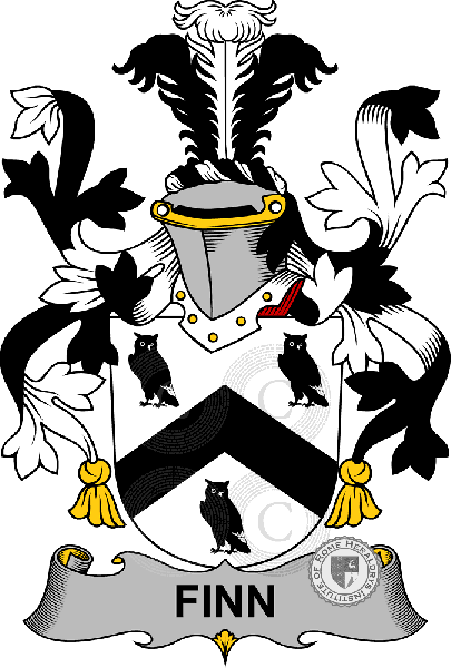 Coat of arms of family Finn