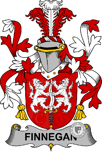 Coat of arms of family Finnegan