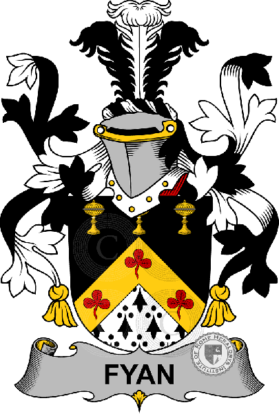 Coat of arms of family Fyan