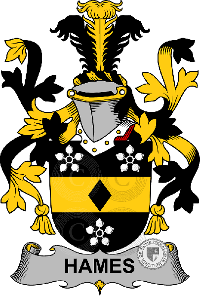 Coat of arms of family Hames
