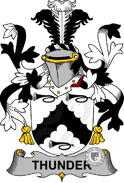 Coat of arms of family Thunder