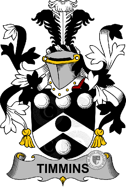 Coat of arms of family Timmins