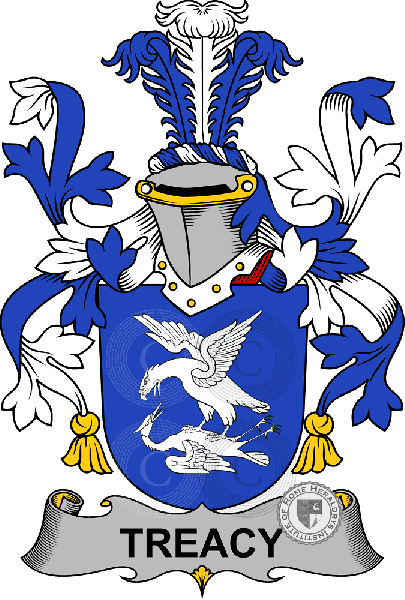 Coat of arms of family Treacy