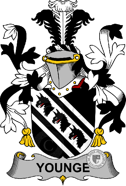Wappen der Familie Younge