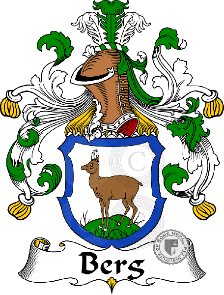 Wappen der Familie Berg   ref: 30155