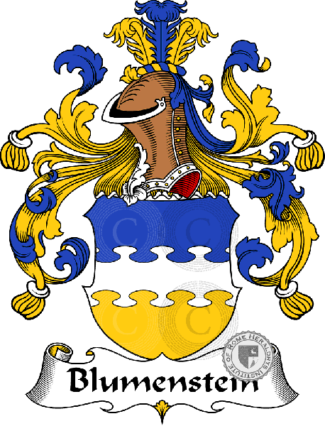 Escudo de la familia Blumenstein   ref: 30196