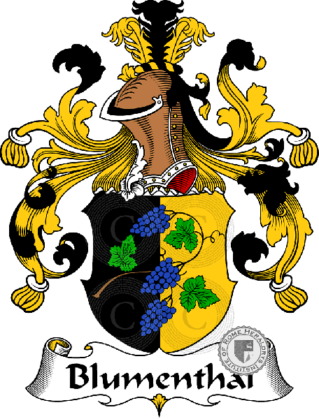 Coat of arms of family Blumenthal   ref: 30197