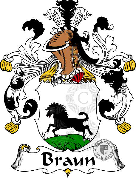 Coat of arms of family Braun   ref: 30219