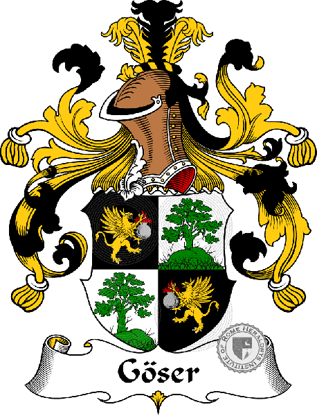 Coat of arms of family Göser   ref: 30687