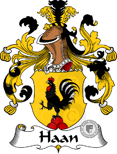 Coat of arms of family Haan   ref: 30692