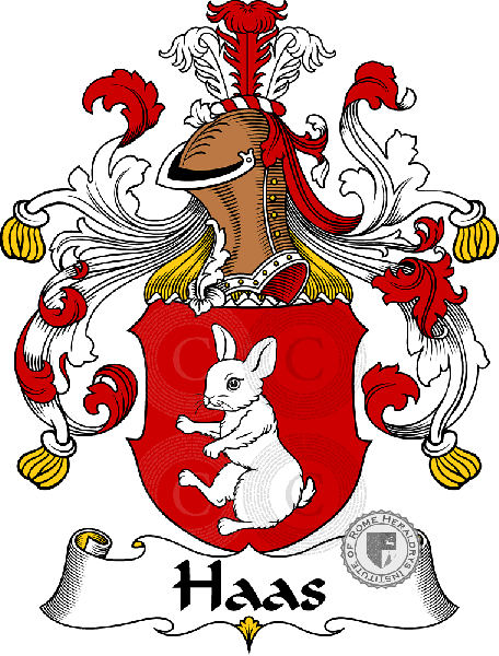 Coat of arms of family Haas