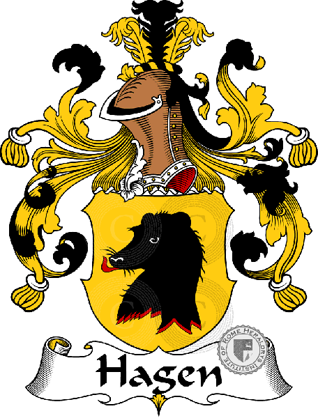 Escudo de la familia Hagen   ref: 30712