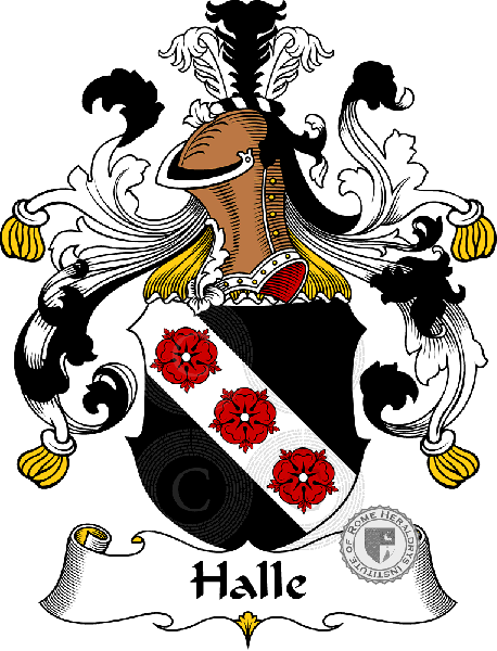Escudo de la familia Halle   ref: 30723