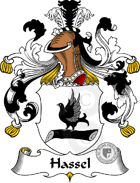 Coat of arms of family Hassel   ref: 30760