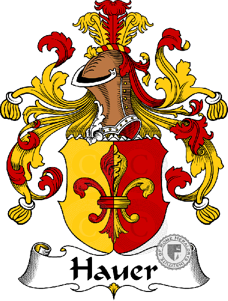 Coat of arms of family Hauer   ref: 30766
