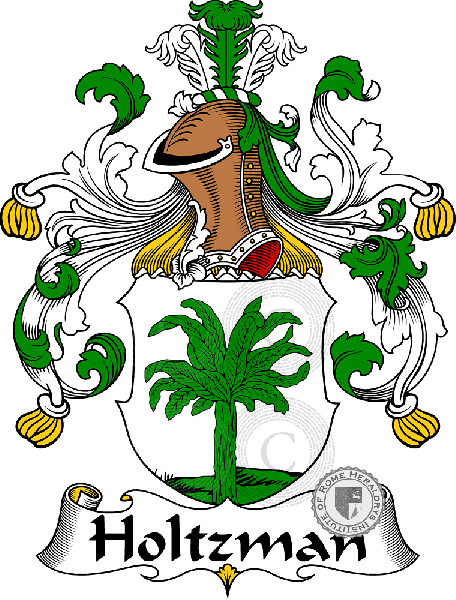 Coat of arms of family Holtzman   ref: 30923