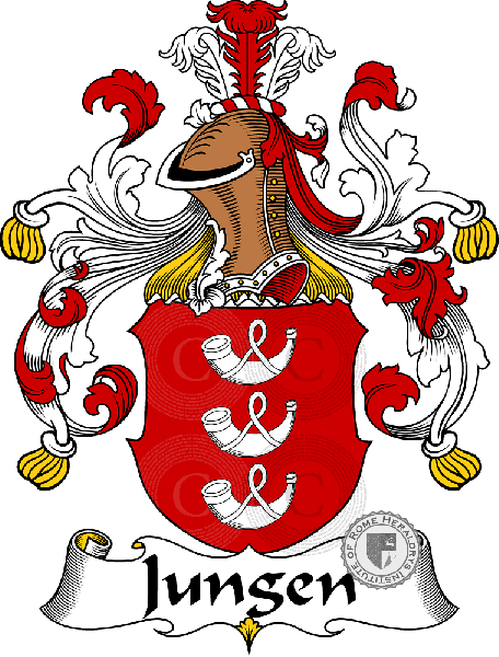 Wappen der Familie Jungen   ref: 30991
