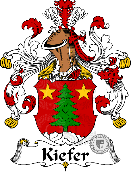 Wappen der Familie Kiefer