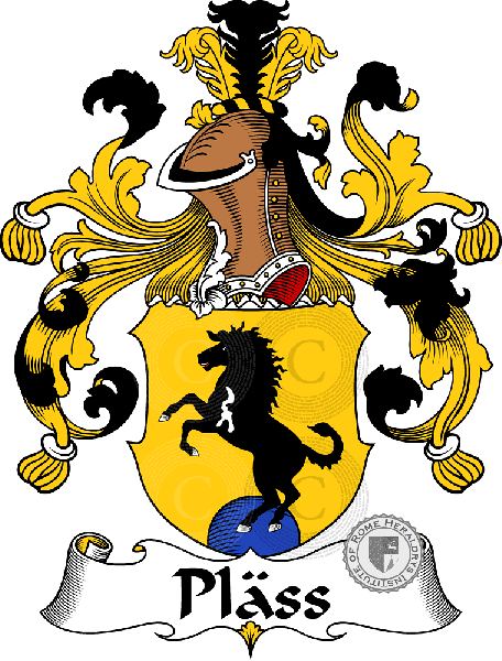 Coat of arms of family Pläss   ref: 31571