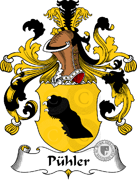 Escudo de la familia Pühler   ref: 31605
