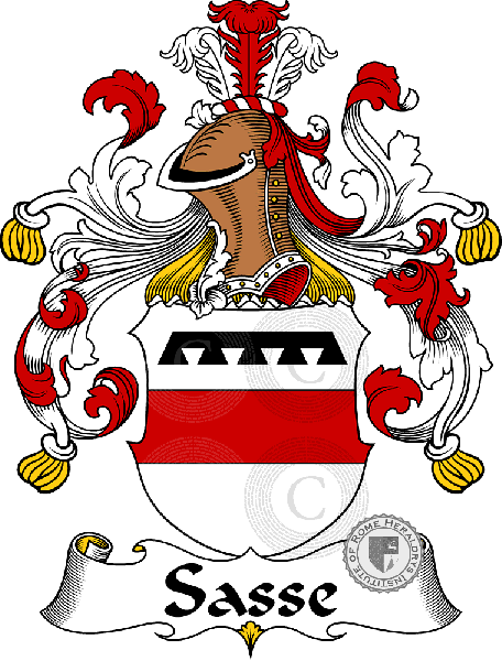 Coat of arms of family Sasse