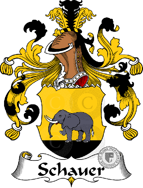 Coat of arms of family Schauer   ref: 31691