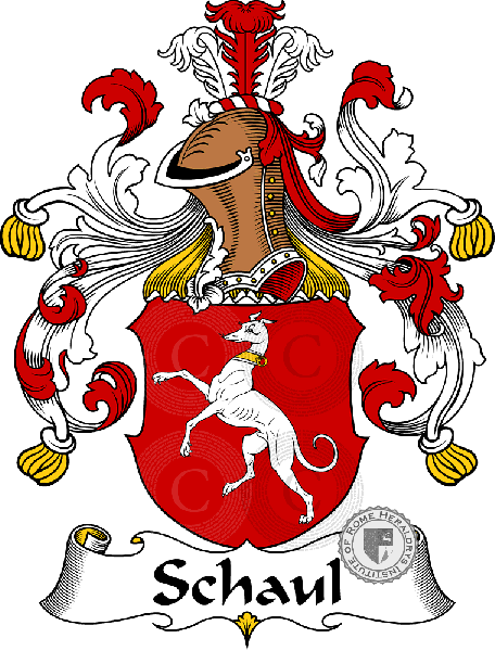 Coat of arms of family Schaul   ref: 31692