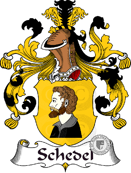 Wappen der Familie Schedel   ref: 31699
