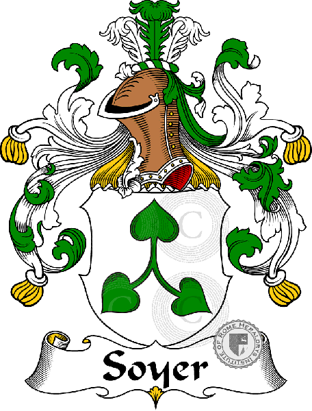 Coat of arms of family Soyer